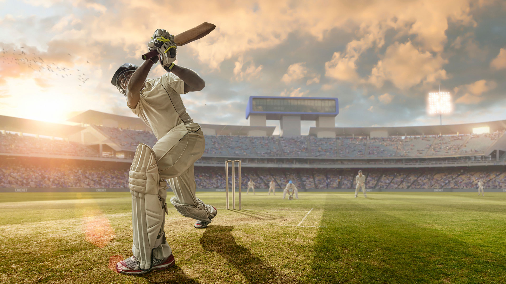 A comprehensive guide to finding the best cricket app